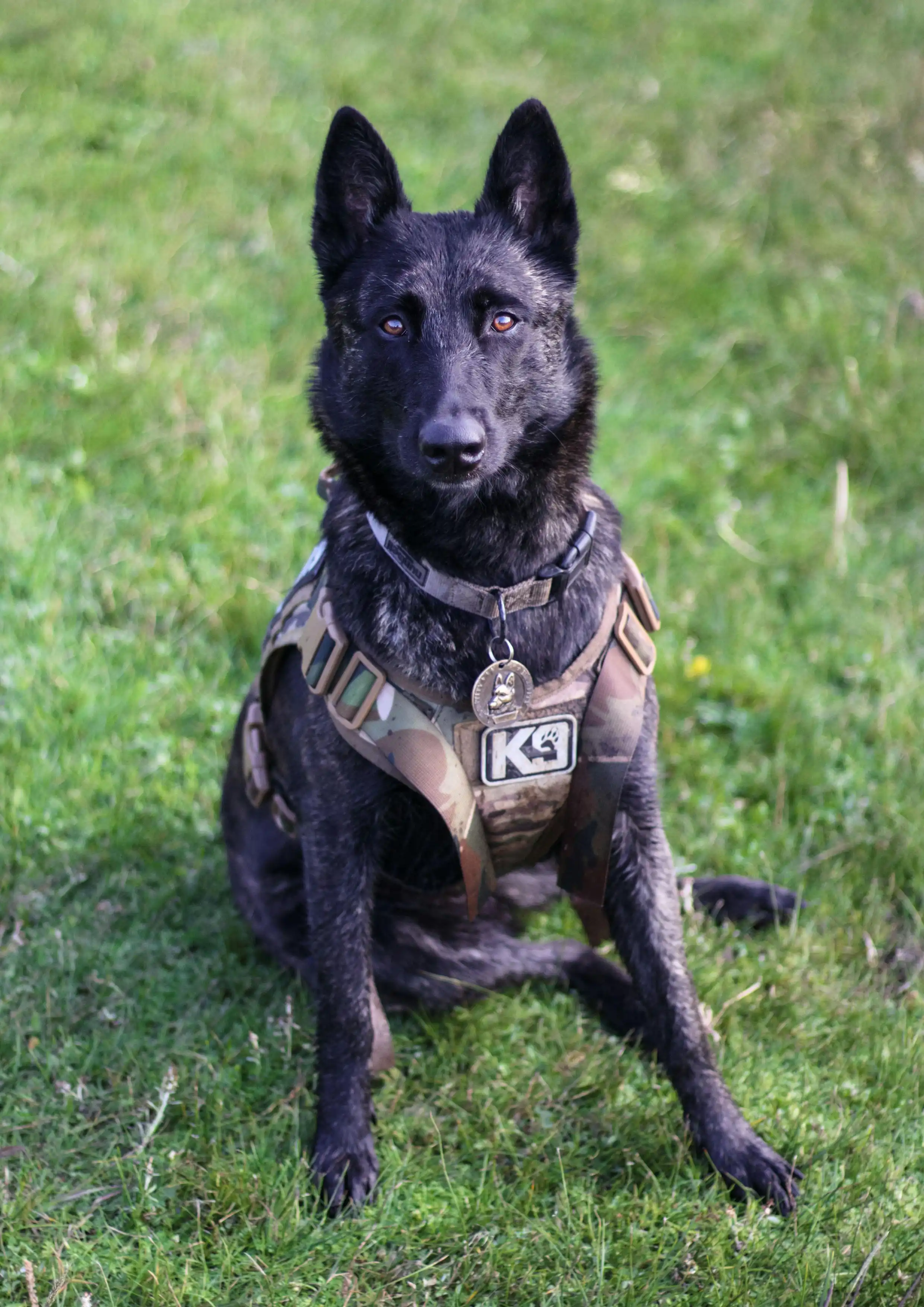 Security response team reacting to alarm alert